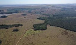 Imóvel 2998987 [''] - ['FAZENDA NOVO HORIZONTE, S/N,'] [''] - ['Novo São Joaquim']/['MT'] - 1