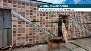 Imóvel 2959387 [''] - ['Rua São Sebastião, 12A, São Bernardo, São Luís, MA'] ['São Bernardo'] - ['São Luís']/['MA'] - 1