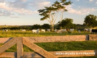 Imóvel 2486887 [''] - ['RODOVIA EVERALDO MARTINS, KM 26, nº S/N, ZONA RURAL, SANTAREM - PA, CEP 68.020-990'] [''] - ['Santarém']/['PA'] - 1