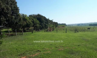 Imóvel 2943987 [''] - ['Km 217 da Rodovia BR-153-Transbrasiliana, lote de terra nº 71 - Fazenda Santa Helena'] ['Bairro Santa Helena'] - ['Marília']/['SP'] - 1