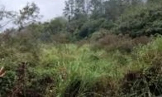 Imóvel 3095387 [''] - ['Colônia Tagaçaba, acesso a partir da cidade de Antonina em Via asfaltada pela RODOVIA PR 340'] [''] - ['Guaraqueçaba']/['PR'] - 1