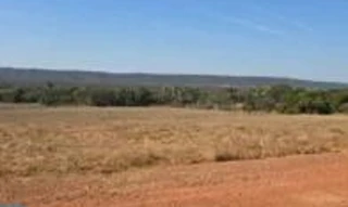 Imóvel 2969587 [''] - ['Faz. Lagoa Azul, Alto Paraguai/MT'] [''] - ['Alto Paraguai']/['MT'] - 1