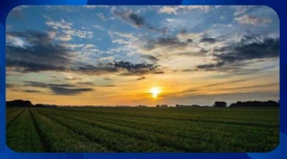 Imóvel 2258987 [''] - [', SN - ZONA RURAL'] [''] - ['Caldas']/['MG'] - 1