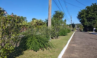 Imóvel 2590187 [''] - ['ESTÂNCIA GRANDE, no distrito sede deste município de Viamão'] [''] - ['Viamão']/['RS'] - 1