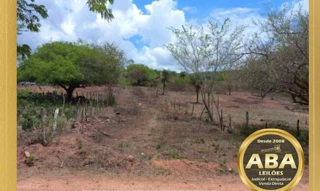 Imóvel 2586287 [''] - ['Fazenda São Francisco, Povoado Curituba'] [''] - ['Santa Brígida']/['BA'] - 1