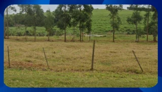 Imóvel 2633787 [''] - ['Lote de terreno'] [''] - ['Rio Brilhante']/['MS'] - 1