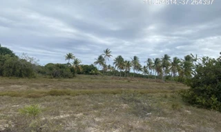 Imóvel 2275487 ['IDR184615'] - ["Avenida F, s/n, Quadra 62, Lote 01, Loteamento Vila Rica do Abais, Itaporanga D'Ajuda, SE, 49120-000"] [''] - ["Itaporanga D'Ajuda"]/['SE'] - 1