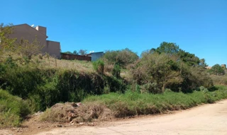 Imóvel 2501687 [''] - ['Floresta'] ['Floresta'] - ['Camaquã']/['RS'] - 1