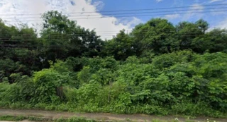 Imóvel 2808287 [''] - ['FAZENDA BARRA DO ONÇA'] [''] - ['Governador Valadares']/['MG'] - 1