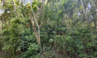 Imóvel 2166487 [''] - ['Rua Monterrei, Portal da Serra - Santana de Parnaíba - SP'] ['Portal da Serra'] - ['Santana De Parnaíba']/['SP'] - 1