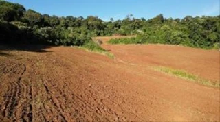 Imóvel 2973387 [''] - ['Linha São Luiz, interior do município de Nova Esperança do Sudoeste'] [''] - ['Nova Esperança Do Sudoeste']/['PR'] - 1