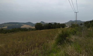 Imóvel 2854987 [''] - ['LATITUDE: 24°42\'14.2"S / LONGITUDE: 51°59\'07.5"W'] [''] - ['Pitanga']/['PR'] - 1