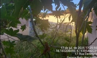 Imóvel 1494488 ['8444406245712'] - ['RUA 20,N. SN CS 02, QD 45, LT 07, PARQUE SOL NASCENTE - CEP: 72855-820, LUZIANIA - GOIAS'] ['Sol Nascente'] - ['Luziânia']/['GO'] - 1