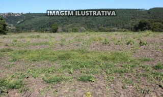 Imóvel 2855688 [''] - ['Chácara Ana, Bairro Ribeirão Bonito - Itapeva - SP'] [''] - ['Itapeva']/['SP'] - 1