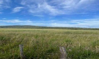 Imóvel 2716188 [''] - ['FAZENDA BAGRE, s/nº, GLEBA A, Zona Rural, Caldas Novas, GO, 75690-000, , Caldas Novas/GO'] ['Turista 1'] - ['Caldas Novas']/['GO'] - 1