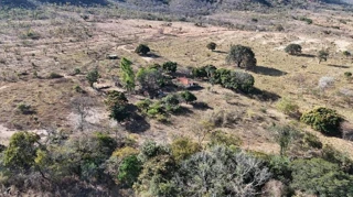 Imóvel 2600988 [''] - ['Fazenda Pé da Serra - Quinhão 13'] [''] - ['Buritis']/['MG'] - 1