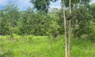 Imóvel 2544288 [''] - ['Linha 08, região do km 15/22, Setor Serra Grande'] [''] - ['Costa Marques']/['RO'] - 1