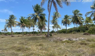 Imóvel 2275488 ['IDR184668'] - ["Rodovia Camilo Calazans de Magalhães (Estrada do Abais), s/n, Quadra 68, Lote 10, Loteamento Vila Rica do Abais, Itaporanga D'ajuda, SE, 49120-000"] [''] - ["Itaporanga D'Ajuda"]/['SE'] - 1