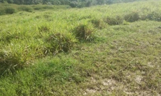 Imóvel 2664288 ['IDR186867'] - ['Rua Flor Luciana, S/N, Quadra 29 - Lote 23, Parque das Margaridas, Salinas da Margarida, BA, 44450-000'] [''] - ['Salinas Da Margarida']/['BA'] - 1