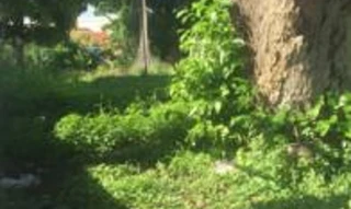 Imóvel 2679288 [''] - ['Av. João Pessoa, Bairro Parangaba'] ['Parangaba'] - ['Fortaleza']/['CE'] - 1