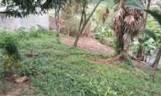 Imóvel 2605588 [''] - ['Rua Boa Vista, Bairro Vila Amizade'] ['Vila Amizade'] - ['Guaramirim']/['SC'] - 1