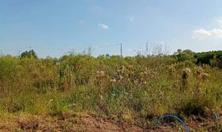 Imóvel 2586788 [''] - ['Rua 6 S/N (Lote 10 da Quadra F)'] [''] - ['Harmonia']/['RS'] - 1