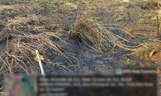 Imóvel 2602688 [''] - ['Rua Zaide Barbosa de Souza 1.301 (Lote 12 da Quadra 105)'] [''] - ['Nova Alvorada Do Sul']/['MS'] - 1