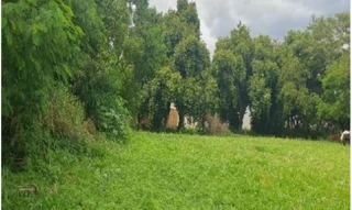 Imóvel 2715888 [''] - ['Rua Arthur Montebelo, s/nº - Terreno Lote 0322 da Quadra 06 - Setor 02 - Jardim Palmares I - Saltinho / SP'] [''] - ['Saltinho']/['SP'] - 1