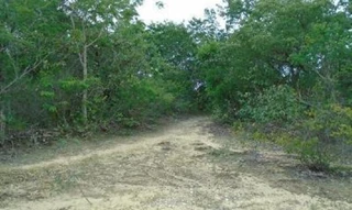 Imóvel 2714488 [''] - ['Fazenda Santa Cruz Rocinha Lote 02'] [''] - ['Cristália']/['MG'] - 1