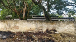 Imóvel 2545589 ['1444402383764'] - ['RUA SEM DENOMINAÇÃO,N. SN CS 102 LT 4B, HOSPICIO - CEP: 28978-806, ARARUAMA - RIO DE JANEIRO'] ['Hospicio'] - ['Araruama']/['RJ'] - 1