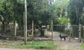 Imóvel 2715789 [''] - ['Rua Rui Barbosa, 1473 - Alegria - Guaíba / RS'] ['Flórida'] - ['Guaíba']/['RS'] - 1