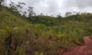 Imóvel 2568889 [''] - ['Fazenda "Rancho Alegre", lote 23, loteamento Campos Lindos, 2ª etapa'] [''] - ['Goiatins']/['TO'] - 1