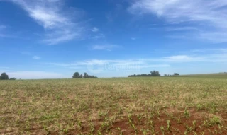 Imóvel 3039489 [''] - ['Fração de terras de campo, com área de centro e cinquenta mil metros quadrados (150.000m²), situada no lugar denominado "Cará", no distrito do município de Jóia/RS'] [''] - ['Jóia']/['RS'] - 1