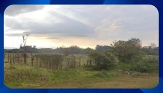 Imóvel 2615289 [''] - ['Rua Trilho de Ferro, nº 54 (atual Av. Brasília), Centro'] [''] - ['Canto Do Buriti']/['PI'] - 1