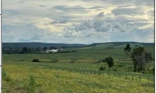 Imóvel 2961589 ['10308165'] - ['FAZENDA CANTA GALO II (À ESQUERDA BR-010),N. 00 ALTURA KM 1502/1506, AREA RURAL DE DOM ELISEU - CEP: 68412-890, DOM ELISEU - PARA'] [''] - ['Dom Eliseu']/['PA'] - 1