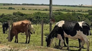 Imóvel 2032989 [''] - [', 08 - O CEP PODE NÃO CORRESPONDER A LOCALIZAÇÃO EXATA DO BEM - Pirangi do Norte (Distrito Litoral)'] [''] - ['Carnaubais']/['RN'] - 1