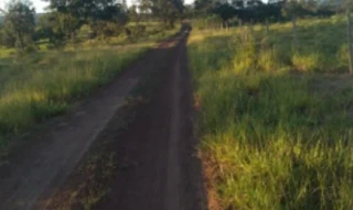 Imóvel 2843189 [''] - ['FAZENDA PRATA DOS NETOS- LUGAR DENOMINADO CERRADO'] [''] - ['Presidente Olegário']/['MG'] - 1
