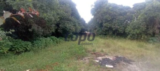 Imóvel 2607489 [''] - ['Rua Simão Guebur, 555, Uberaba, em Curitiba/PR'] ['Uberaba'] - ['Curitiba']/['PR'] - 1