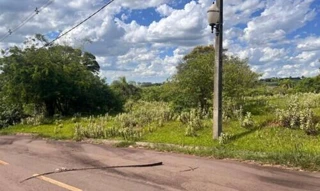 Imóvel 2995889 [''] - ['Rua Rio De Janeiro, 264, Lote 10 Da Qudra 04, Perola, Pérola, PR'] [''] - ['Pérola']/['PR'] - 1