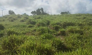 Imóvel 2664289 ['IDR186864'] - ['Rua Flor Luciana, S/N, Quadra 29 - Lote 19, Parque das Margaridas, Salinas da Margarida, BA, 44450-000'] [''] - ['Salinas Da Margarida']/['BA'] - 1