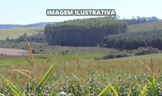 Imóvel 2855689 [''] - ['Sítio Capim Fino, Bairro Enxovia e Morro Cavado - Itapeva - SP'] [''] - ['Itapeva']/['SP'] - 1