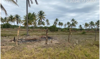 Imóvel 2955289 [''] - ["Estrada do Abais, s/n - Quadra 104, Lote 27 - Loteamento Vila Rica do Abais - Itaporanga d'Ajuda / SE"] [''] - ["Itaporanga D'Ajuda"]/['SE'] - 1