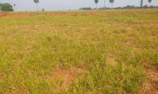 Imóvel 2690589 [''] - ['Rua 04, s/n - Lote 03, Quadra U - Jardim Botânico I - Marília / SP'] [''] - ['Marília']/['SP'] - 1