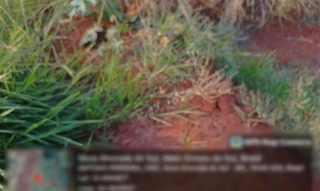 Imóvel 2602689 [''] - ['Rua Zaide Barbosa de Souza 1.311 (Lote 11 da Quadra 105)'] [''] - ['Nova Alvorada Do Sul']/['MS'] - 1