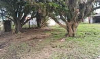 Imóvel 2456389 [''] - ['lote 21, quadra 46, Lot. Pinheirais da Lagoa'] [''] - ['Tapes']/['RS'] - 1