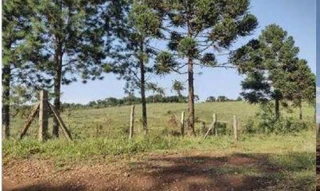 Imóvel 2494689 [''] - ['Gleba Samambaia, Município de Guarapuava/PR'] [''] - ['Guarapuava']/['PR'] - 1
