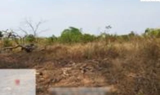 Imóvel 2619490 [''] - ['Saída da cidade de Torixoréu/MT pela rodovia MT 100, percorre 6,9 km, entra a esquerda em estrada nao pavimentada, seguindo por mais 12,3 km. A fazenda fica a esquerda.'] [''] - ['Torixoréu']/['MT'] - 1