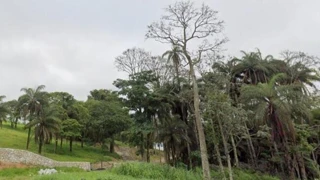 Imóvel 2562490 [''] - ['Cachoeira Da Prata , S/N , Gleba 03'] [''] - ['Cachoeira Da Prata']/['MG'] - 1