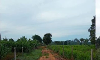 Imóvel 2905490 [''] - ['Lote Rural denominado Sitio L E B, localizado no municipio de Nova Bandeirantes MT'] [''] - ['Nova Bandeirantes']/['MT'] - 1