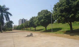 Imóvel 2984390 [''] - ['Rua Santa Terezinha'] [''] - ['Londrina']/['PR'] - 1